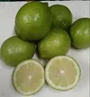 レモン２キロ　ワックス不使用　グリーンレモン