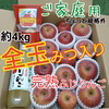 全玉蜜入り◆ご家庭用◆完熟ふじりんご約4kg詰合せ