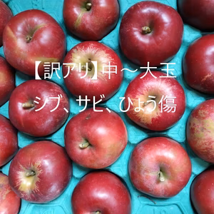 【訳アリ】青森県産りんご『紅玉』中~大玉！ひょう害キズ、シブ、サビ、ヤケ