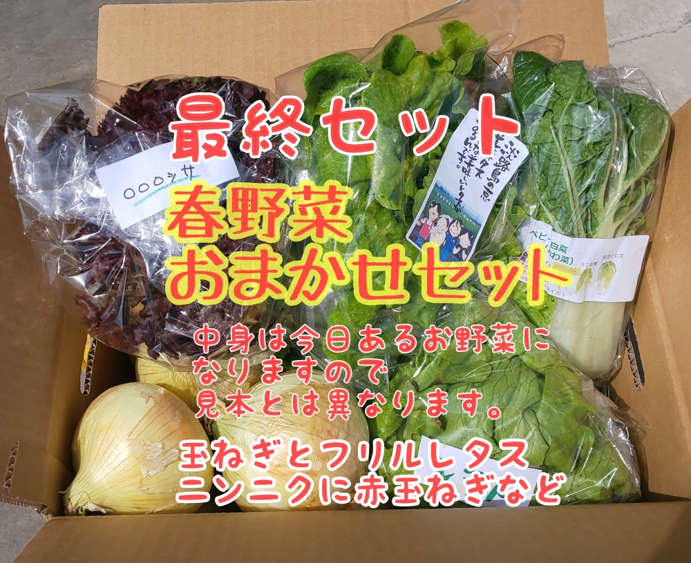 淡路島 春おまかせセット 農家漁師から産地直送の通販 ポケットマルシェ