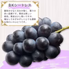 【送料無料】数量限定！訳あり・規格外品シャインマスカットとBKシードレスのセット
