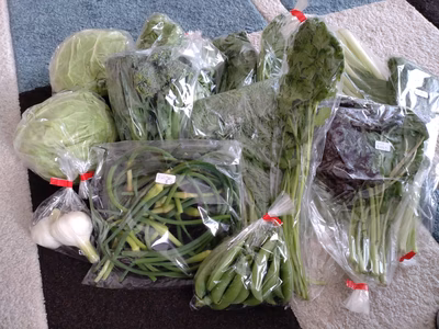 みんなの投稿の画像