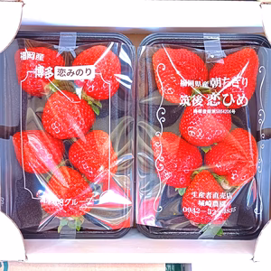 【大人気！食べ比べセット！】大粒恋ひめ・恋みのりいちご　２トレー入り２箱