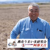 【8年産新米先行予約】おかずのいらないコシヒカリ「つばめ返し」玄米　10月中旬か