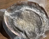 １点物　アワビ　鮑　-60度急速冷凍　5枚で 1269g（傷物、訳あり品）#F