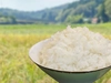 【農薬・化学肥料不使用】令和2年産-加賀のコシヒカリ白米10㎏