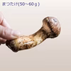 【国産天然松茸】50ｇ前後(40~70g）山形産 秋はきのこ、きのこはまつたけ