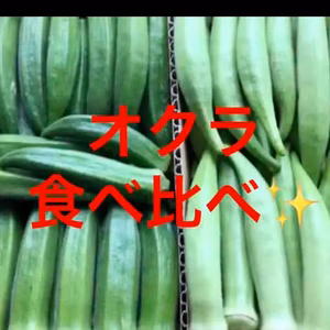 指宿産 オクラ 食べくらべ☆゛