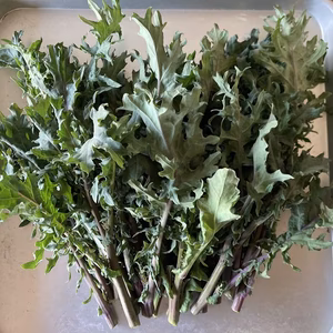 ちへいのケール菜花　500g