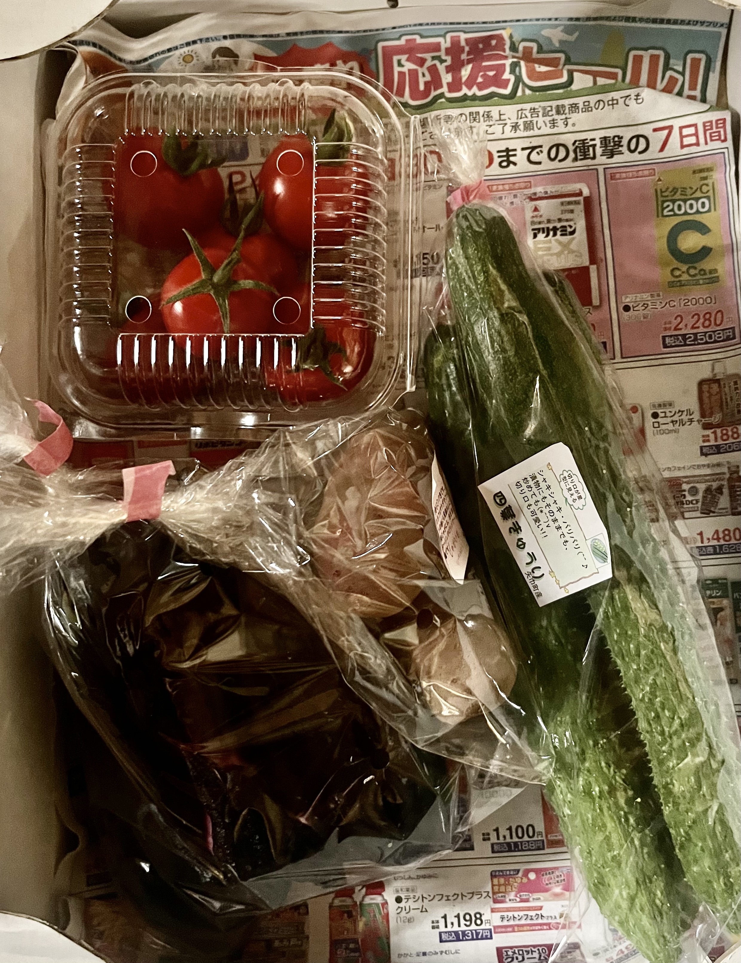 初夏の小さなおまかせ野菜セット 野菜3種類程度