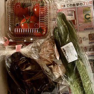 初夏の小さなおまかせ野菜セット