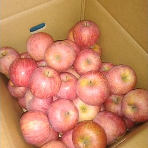 山形県産サンつがる約10㎏(ご家庭用)