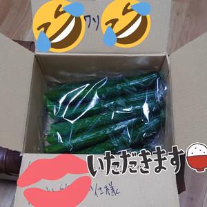 【和想のコンビセット】ヤスワソ【きゅうり&ニンニク】