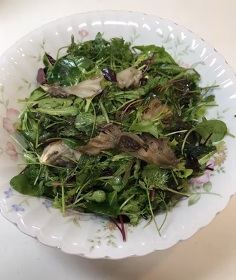 みんなの投稿の画像