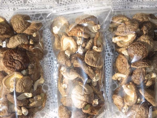 新物！秋採れ乾しいたけ１００ｇ入３袋（大分産　ビタミンDと食物繊維が豊富）