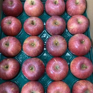 食べ比べ王林5キロ＋ちょっと訳あり樹上完熟弘前ふじ　5キロ18-23玉入早生ふじ