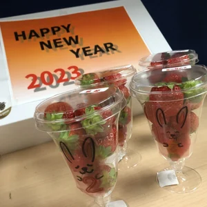 【福袋2023】　イチゴ４品種デザート食べ比べセット