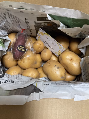 みんなの投稿の画像