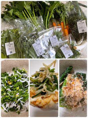 みんなの投稿の画像