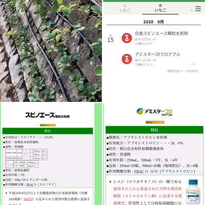 みんなの投稿の画像