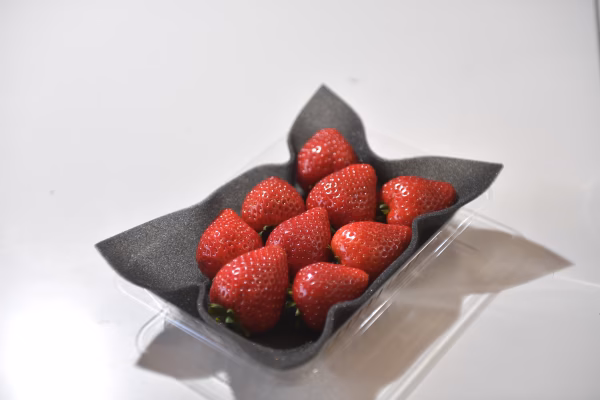 【初摘み感謝20％OFF】完熟とちあいか大粒 【美土里農園】