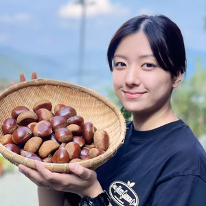 農林水産大臣賞受賞の和栗：特大サイズ（3Lサイズ・30粒）