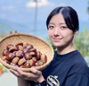 農林水産大臣賞受賞の和栗：特大サイズ（3Lサイズ）