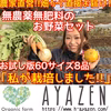 無農薬野菜セット　お試し8品　60サイズ