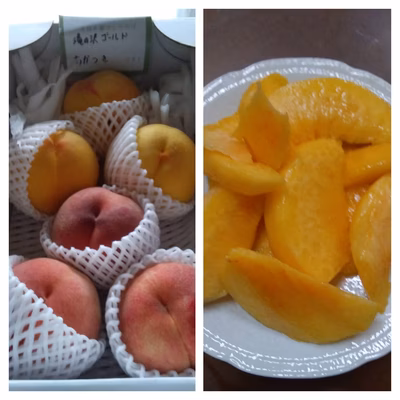 みんなの投稿の画像