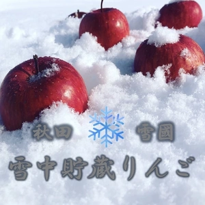 【雪中りんご】雪中貯蔵 りんご リンゴ 秋田 ギフト 贈答 家庭