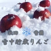 【先行予約雪中りんご】雪中貯蔵 りんご リンゴ 秋田 ギフト 贈答 家庭