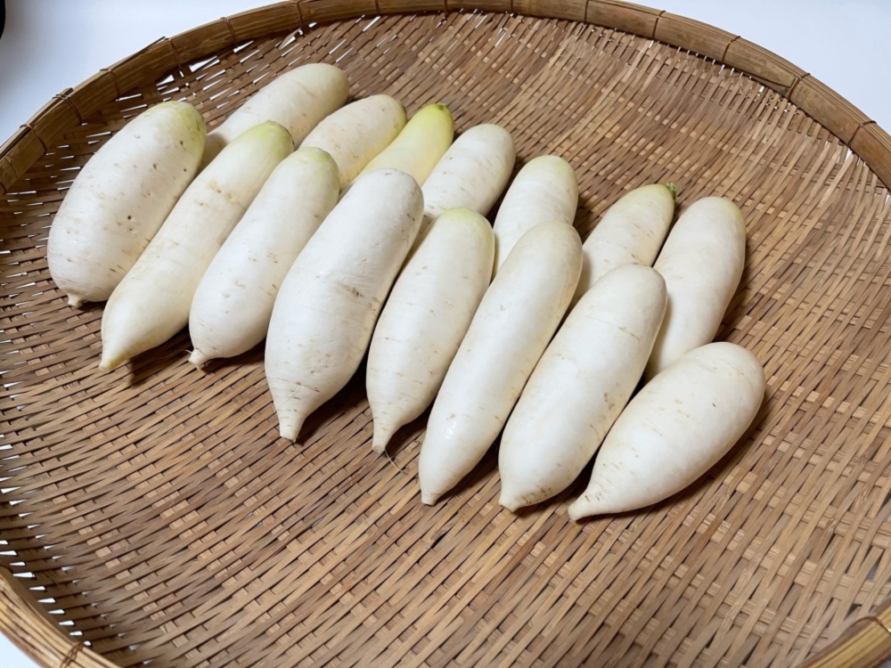 辛味大根 辛味そば 箱込み2kg 千葉県産 化学農薬不使用 - 野菜