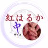 訳あり　中サイズ　紅はるか　詰め合わせ　約1.5kg 　農薬不使用
