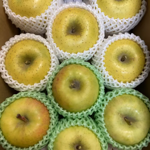 大玉 ぐんま名月 シナノゴールド詰合せ 約3kg～ 信州りんご