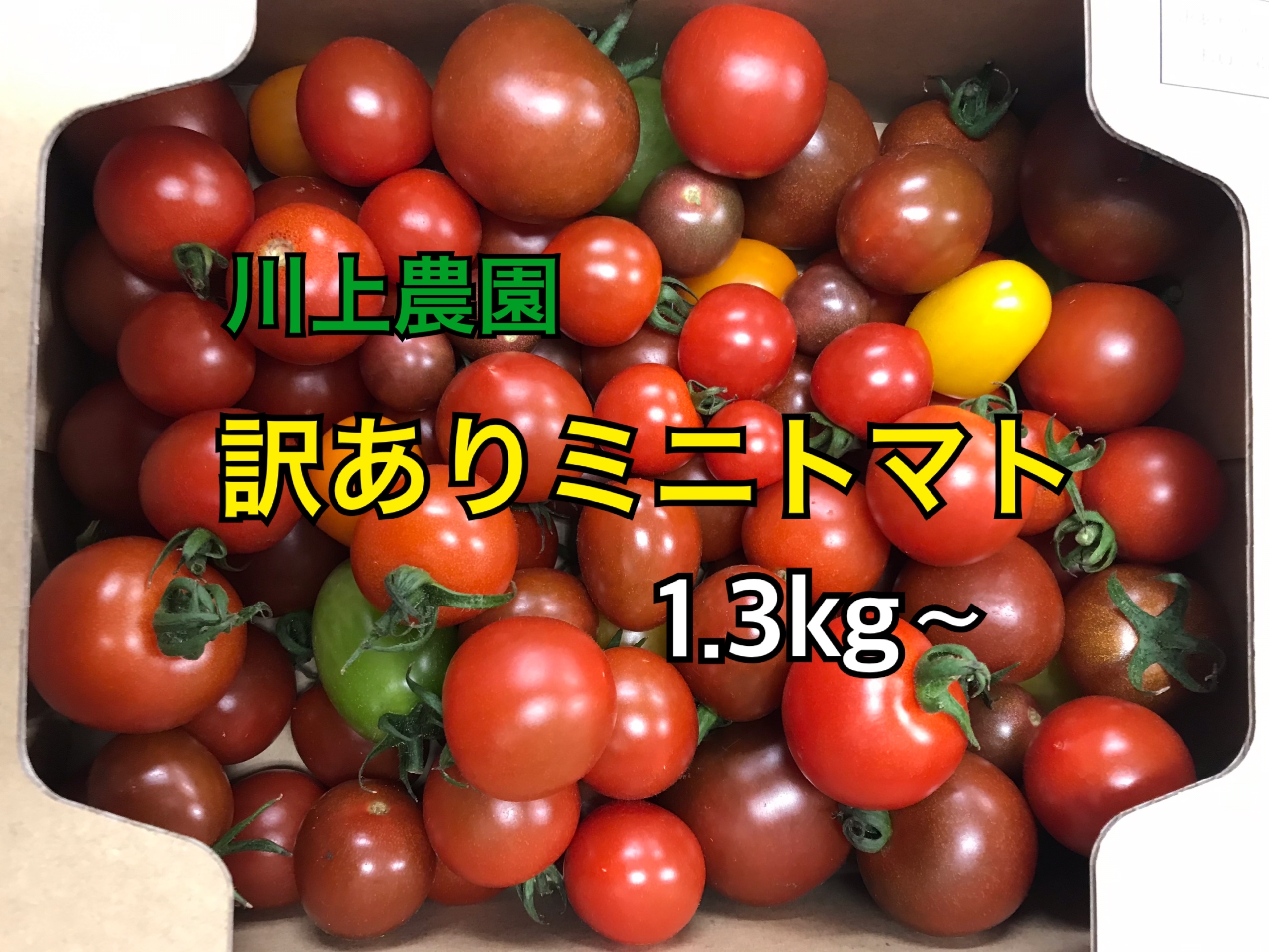 超訳ありフルーツトマト4ｋｇ-