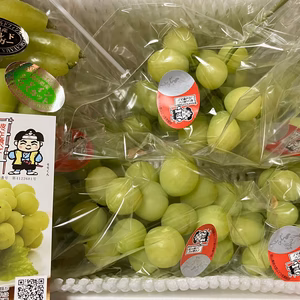 【家庭用】桃太郎ぶどう1.5kg＋おまけ