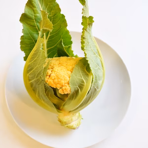 和らぎ農法　オレンジカリフラワー　大