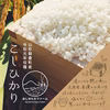 《こしひかり》【令和元年収穫】【精米　玄米】山形飯豊町下椿産