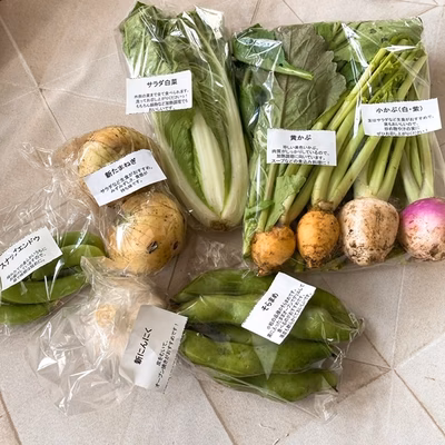 みんなの投稿の画像