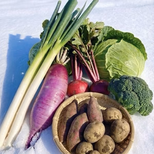 【能登復興支援】【小サイズ】冬の能登からお届け♪やさしい野菜セット(5種)