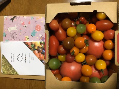 みんなの投稿の画像