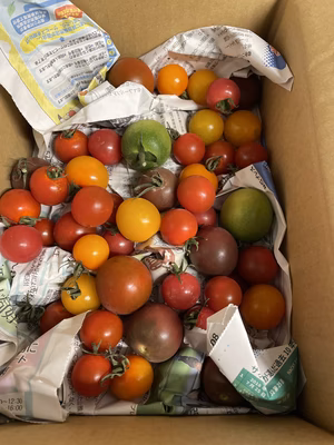 みんなの投稿の画像