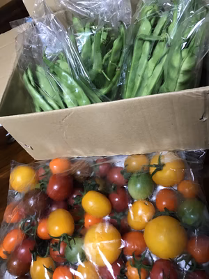 みんなの投稿の画像