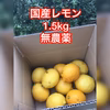 【産直】☆国産レモン約1.5キロ(10玉前後) 減農薬