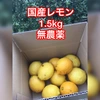 【産直】☆国産レモン約1.5キロ(10玉前後) 減農薬