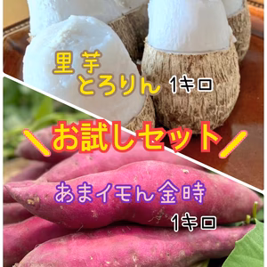 芋いもお試し！各1kgでご用意♪【とろりん1kg】＆【あまイモん1kg】