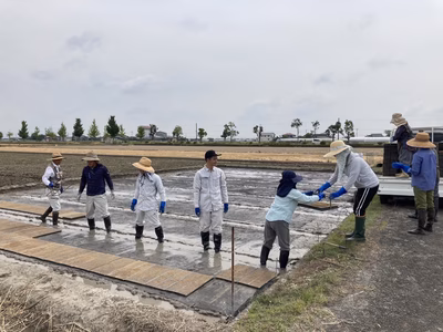 みんなの投稿の画像