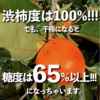 ⭕️今年もやるよ❗️送料550円⭕️　飯田HOSHI柿 