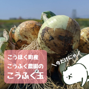 【在庫なくなり次第終了】佐賀県江北町産 新玉ねぎ10kg