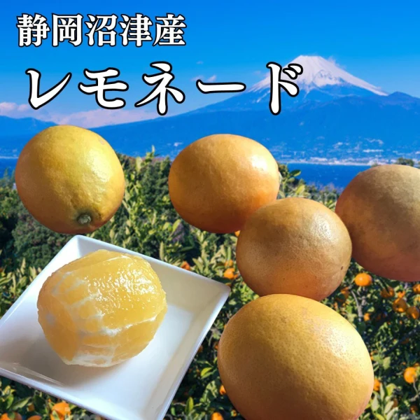 静岡県産レモネード15キロ - 果物